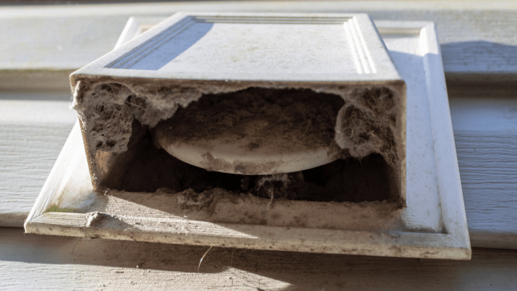 Dirty dryer vent cap